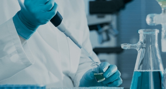 เจลอิเล็กโทรโฟรีซิส Agarose Pre-Stained