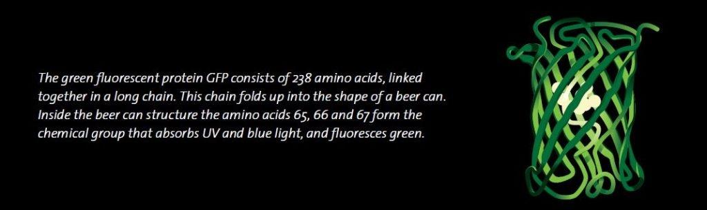 ฟลูออโรมิเตอร์แบบตั้งโต๊ะ