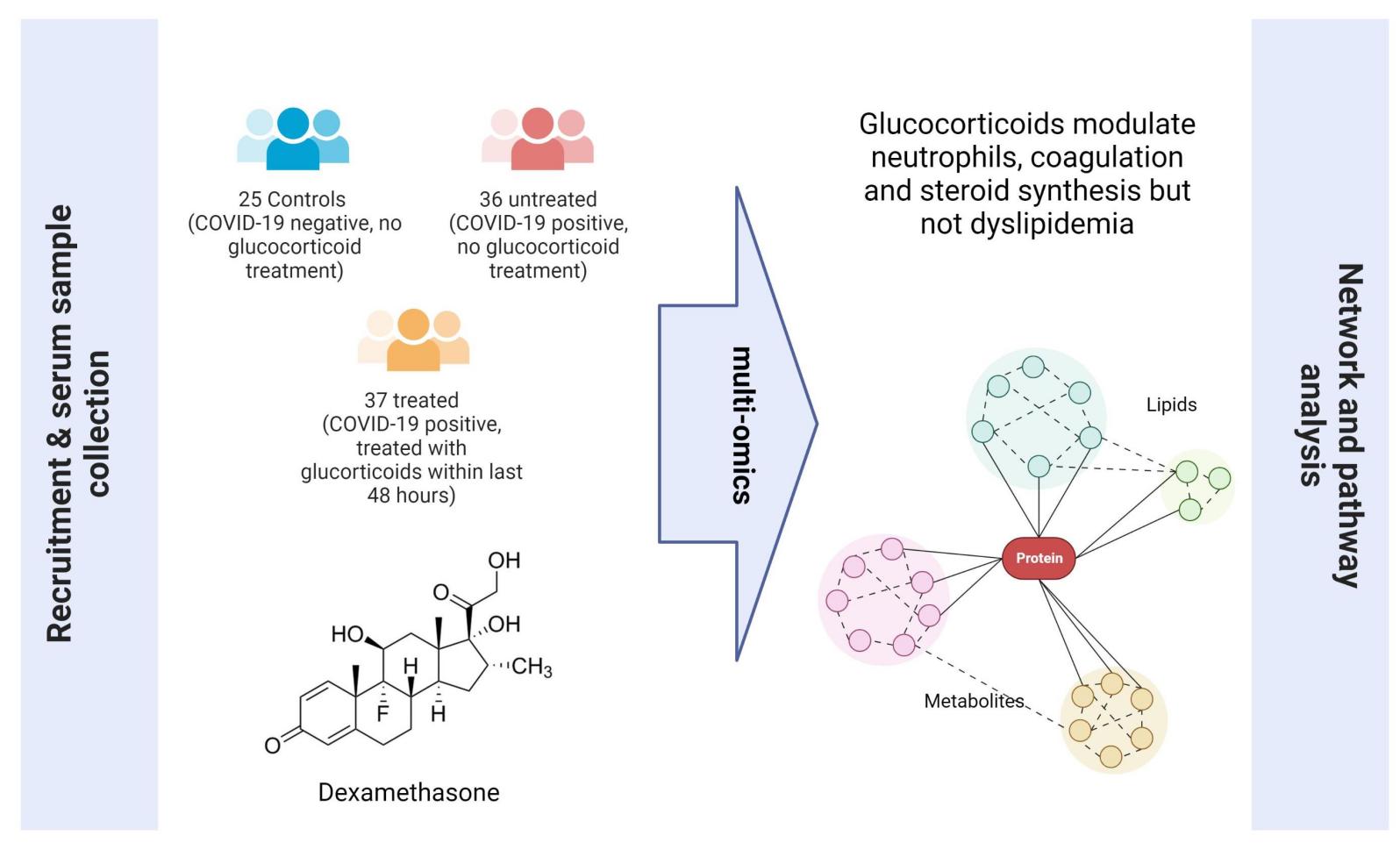 เครื่องอัลตราโซนิกประสิทธิภาพสูงสําหรับห้องปฏิบัติการ