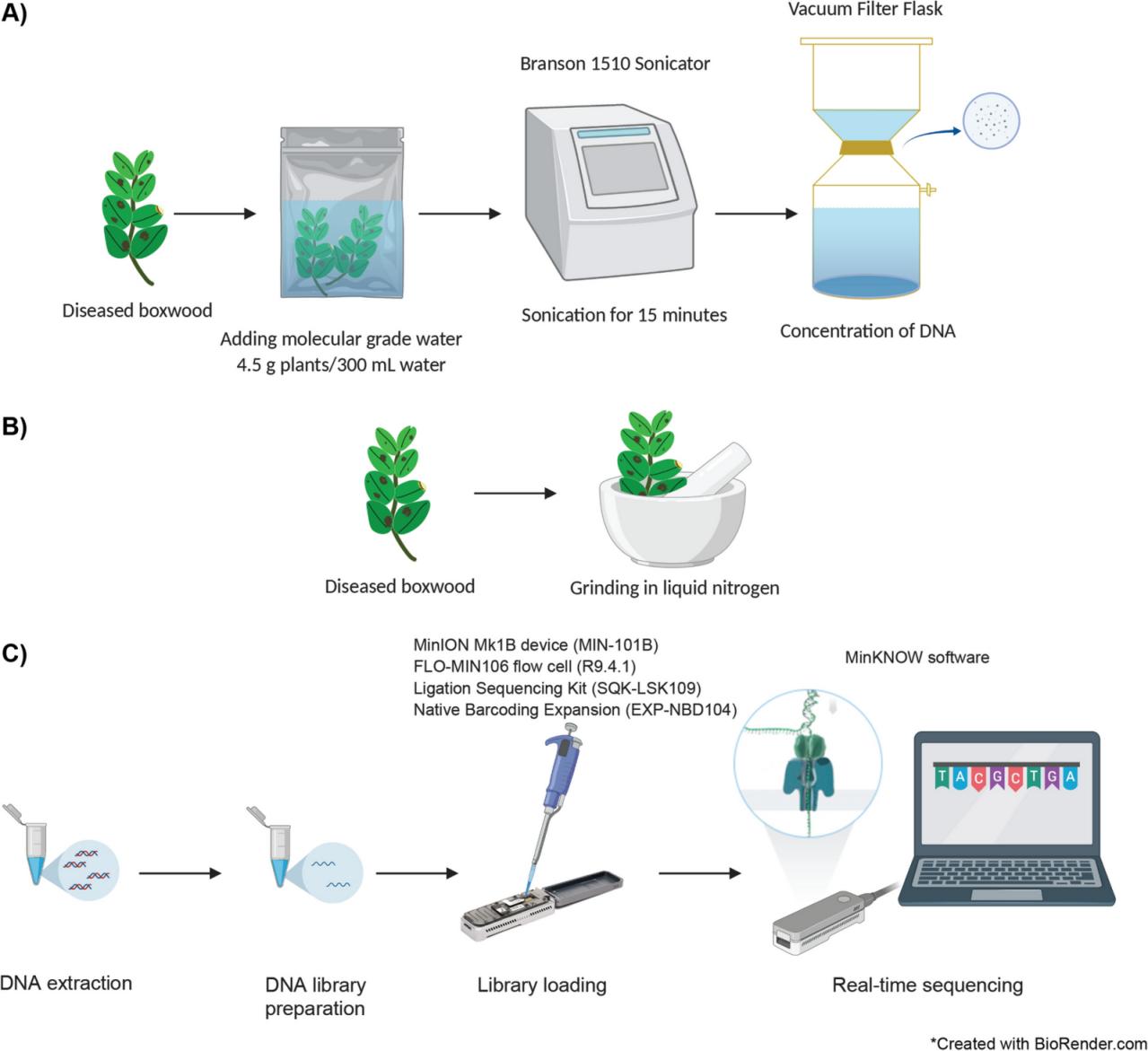 โฮโมจีไนเซอร์อัลตราโซนิก