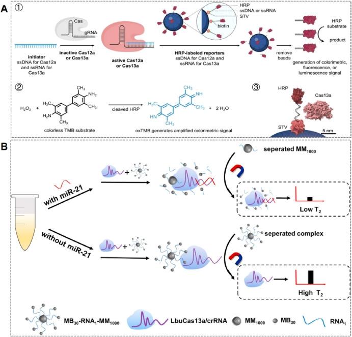 ระบบแยกแม่เหล็ก