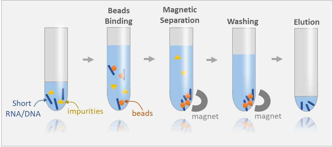 ชั้นวางแม่เหล็กสําหรับการแยก RNA