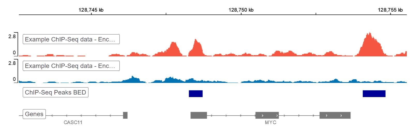 ไปป์ไลน์การวิเคราะห์ข้อมูล ChIP-Seq