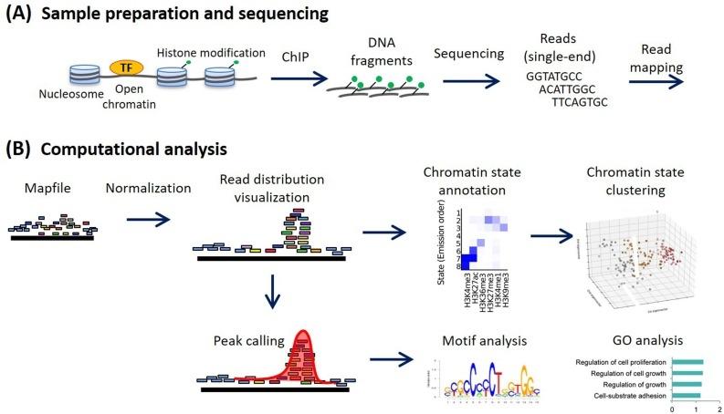การแก้ไขปัญหา ChIP-Seq