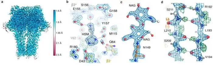 Cryo-Em ความละเอียดสูง